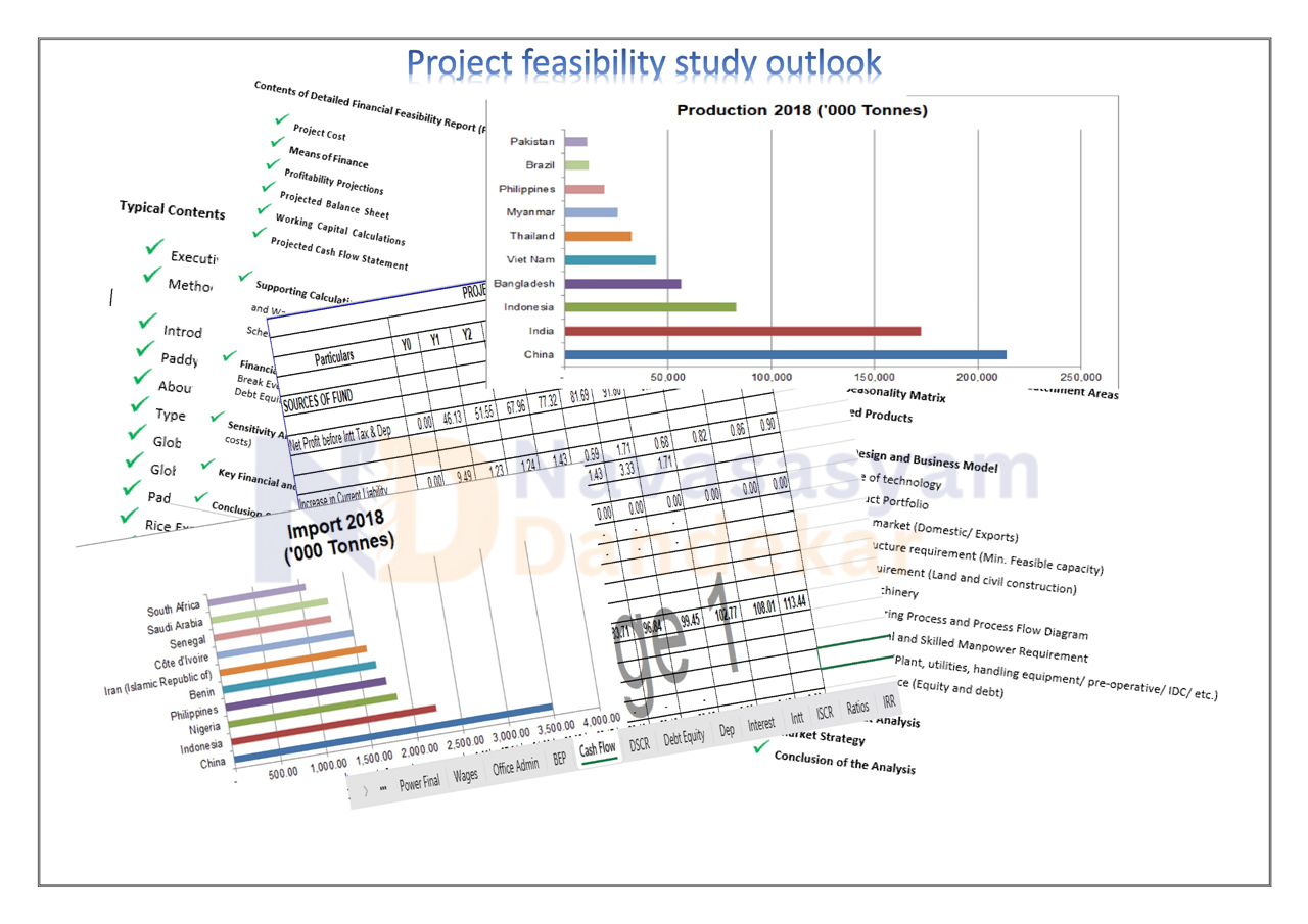 Project Feasibility Study Outlook