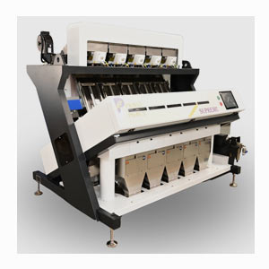 Color Sorting Machine in UAE  - Navasasyam Dandekar Pvt. Ltd