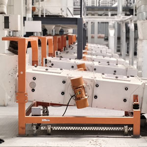 Grain Processing Plant in India – NDPL